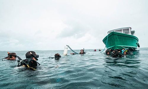 two divers following the instructor underwater in Utila.