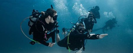 Divers underwater for a scuba diving trip