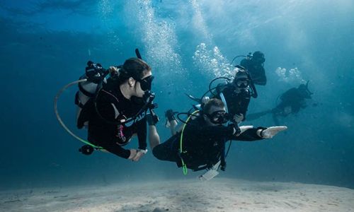 Instructor guiding a scuba dive in Utila
