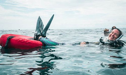 divers taking a scuba class underwater