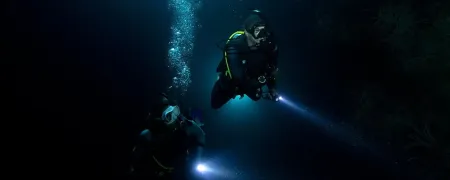 Two divers in a night dive at Underwater Vision in Utila Honduras.